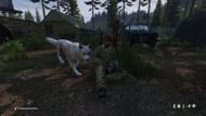 Surviving in the apocalypse isn't so bad or lonely with a furry companion by your side (Image via Bohemia Interactive || HennySea)